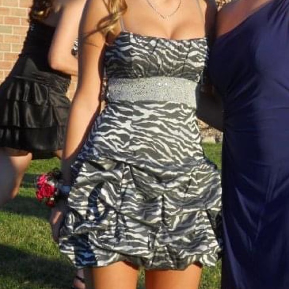 Zebra Print Ruffle Dress - Picture 1 of 6